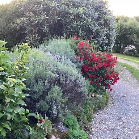 Couette-café Au Bras D'argent