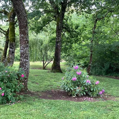 Couette-café Au Bras D'argent 3*